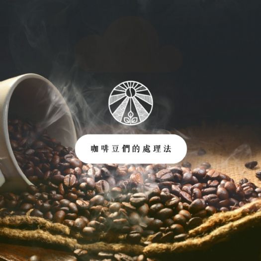 你知道,關於咖啡豆與它們的處理法嗎 ? 你知道,關於咖啡豆與它們的處理法嗎 ?