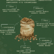 哥斯大黎加 音樂家 莫札特