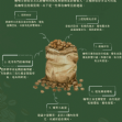 瓜地馬拉 科班