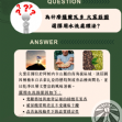 薩爾瓦多 阿帕內卡山脈 火窯莊園