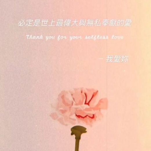 母親節禮盒 預購