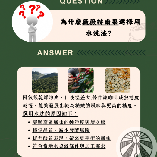 瓜地馬拉 薇薇特南果 SHB