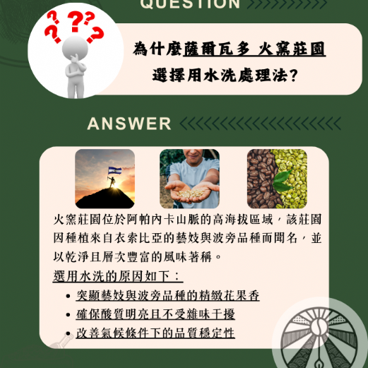 薩爾瓦多 阿帕內卡山脈 火窯莊園